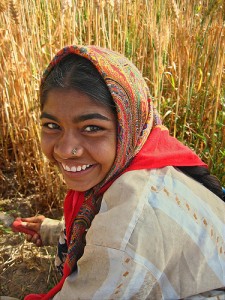 Harvesting Wheat #1 par Meanest Indian sur Flickr