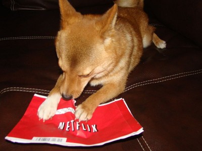 les pubs Netflix découverts par Taro le chien via wikimedia commons. 